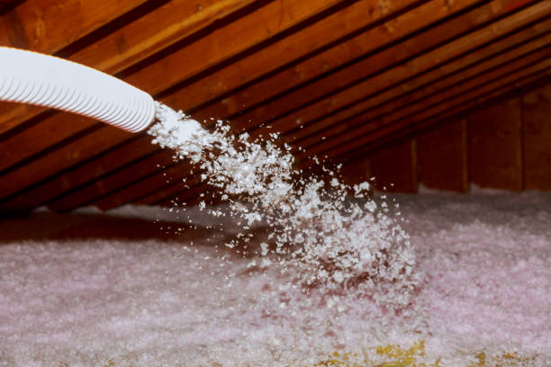 Best Residential Insulation in Norwood, OH