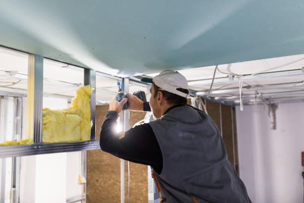 Best Geographic-Specific Insulation Services in Norwood, OH