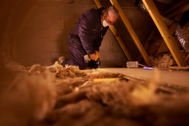 Best Eco-Friendly Insulation in Norwood, OH
